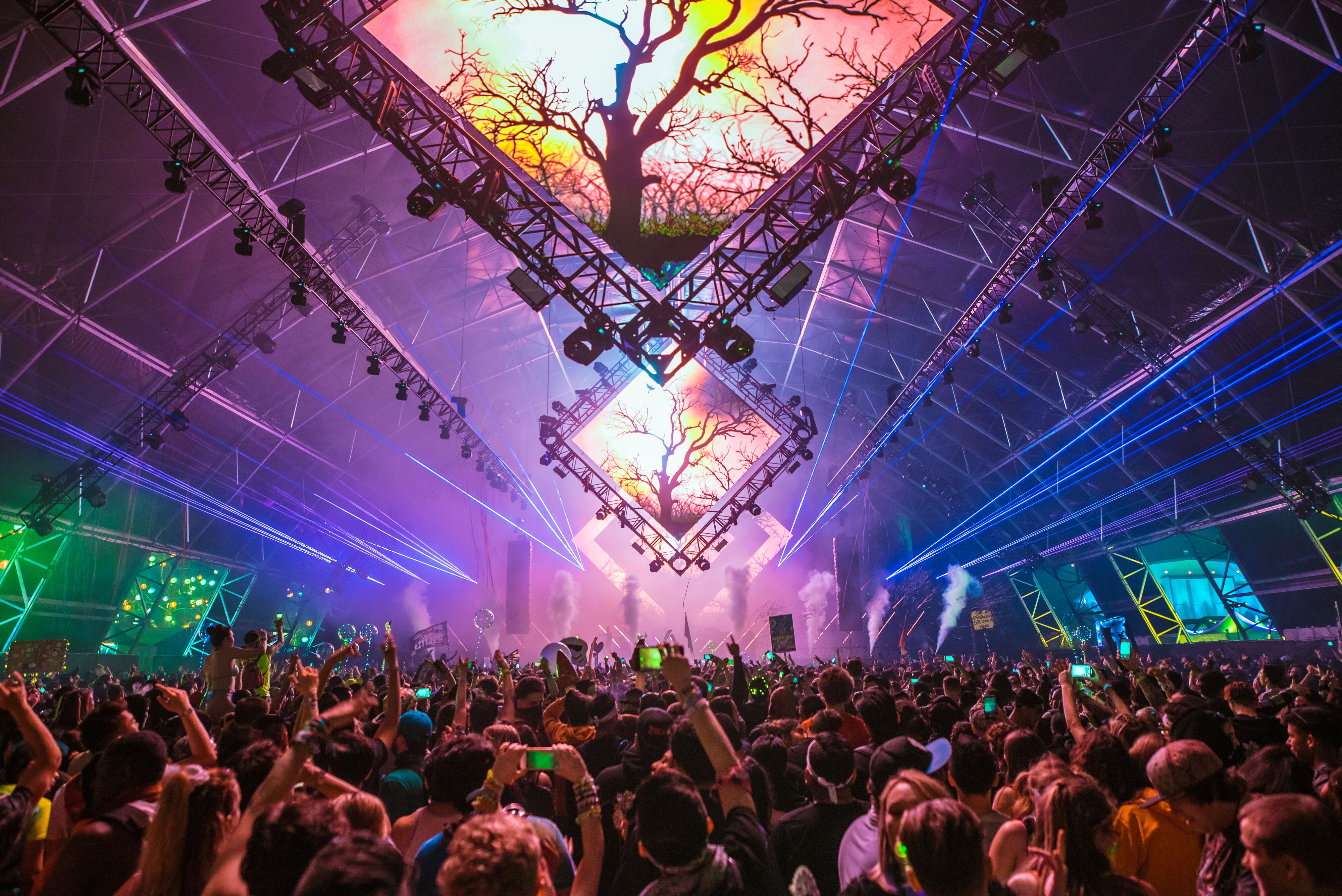 beyond wonderland socal beyond wonderland socal